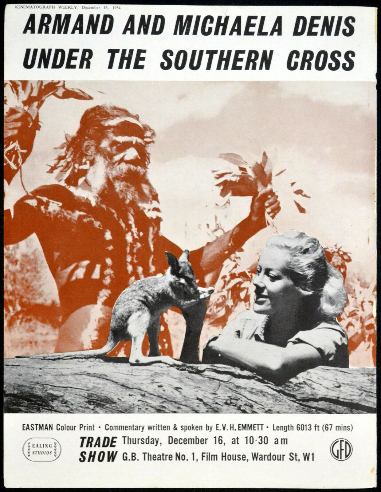 ARMAND AND MICHAELA DENIS UNDER THE SOUTHERN CROSS