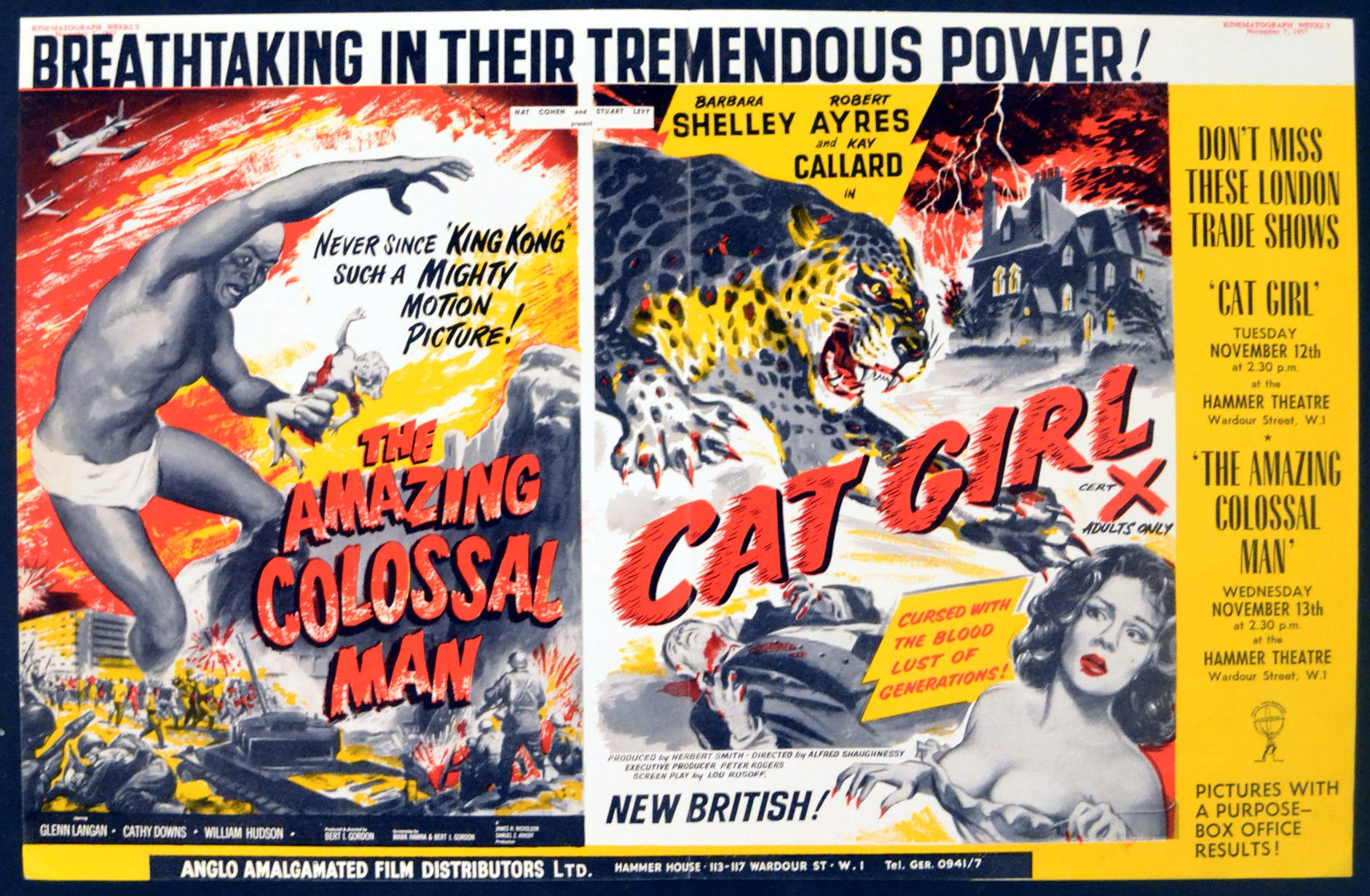 AMAZING COLOSSAL MAN + CAT GIRL