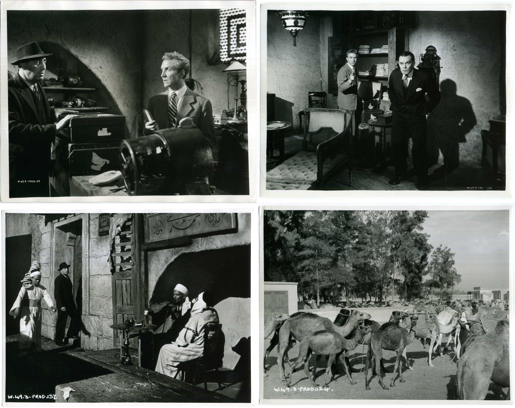 CAIRO ROAD - Image 3