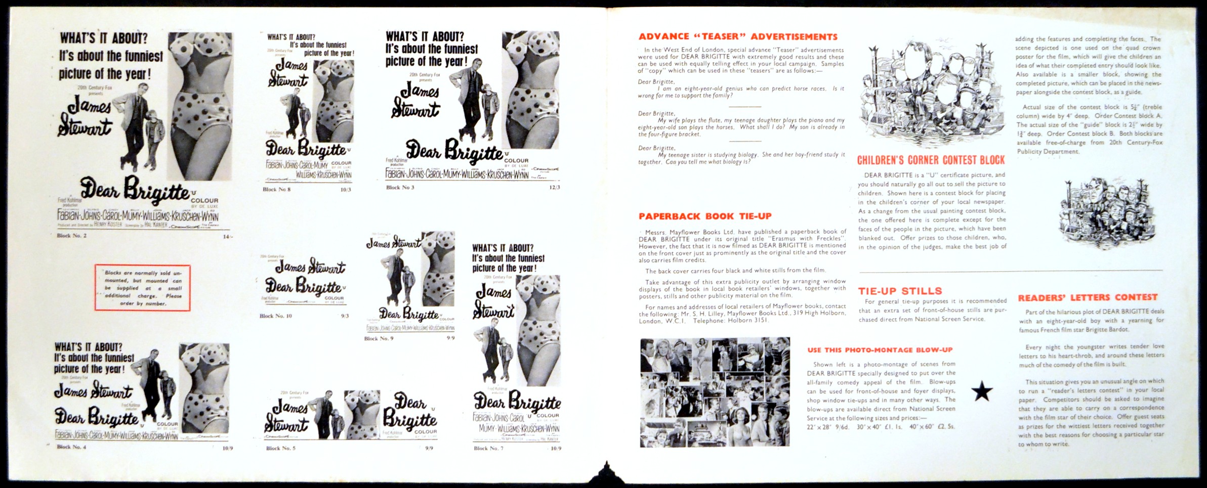 DEAR BRIGITTE - Image 2