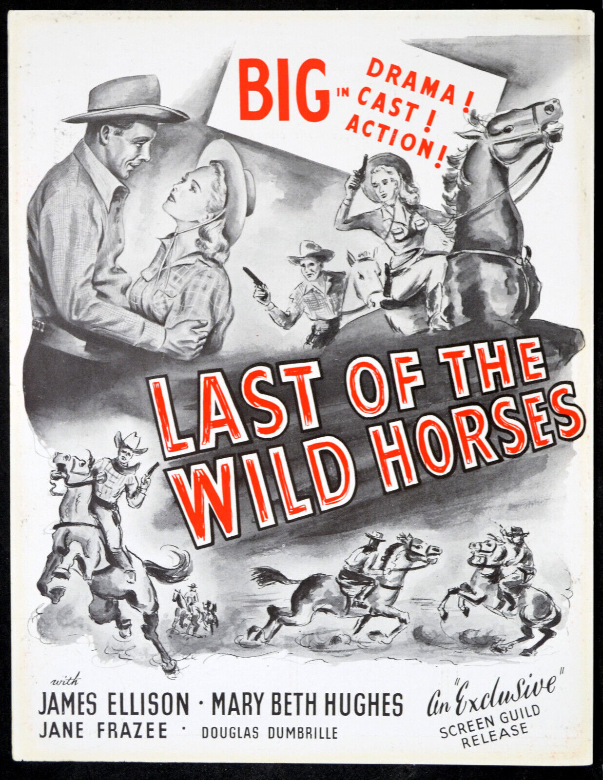 LAST OF THE WILD HORSES | Rare Film Posters