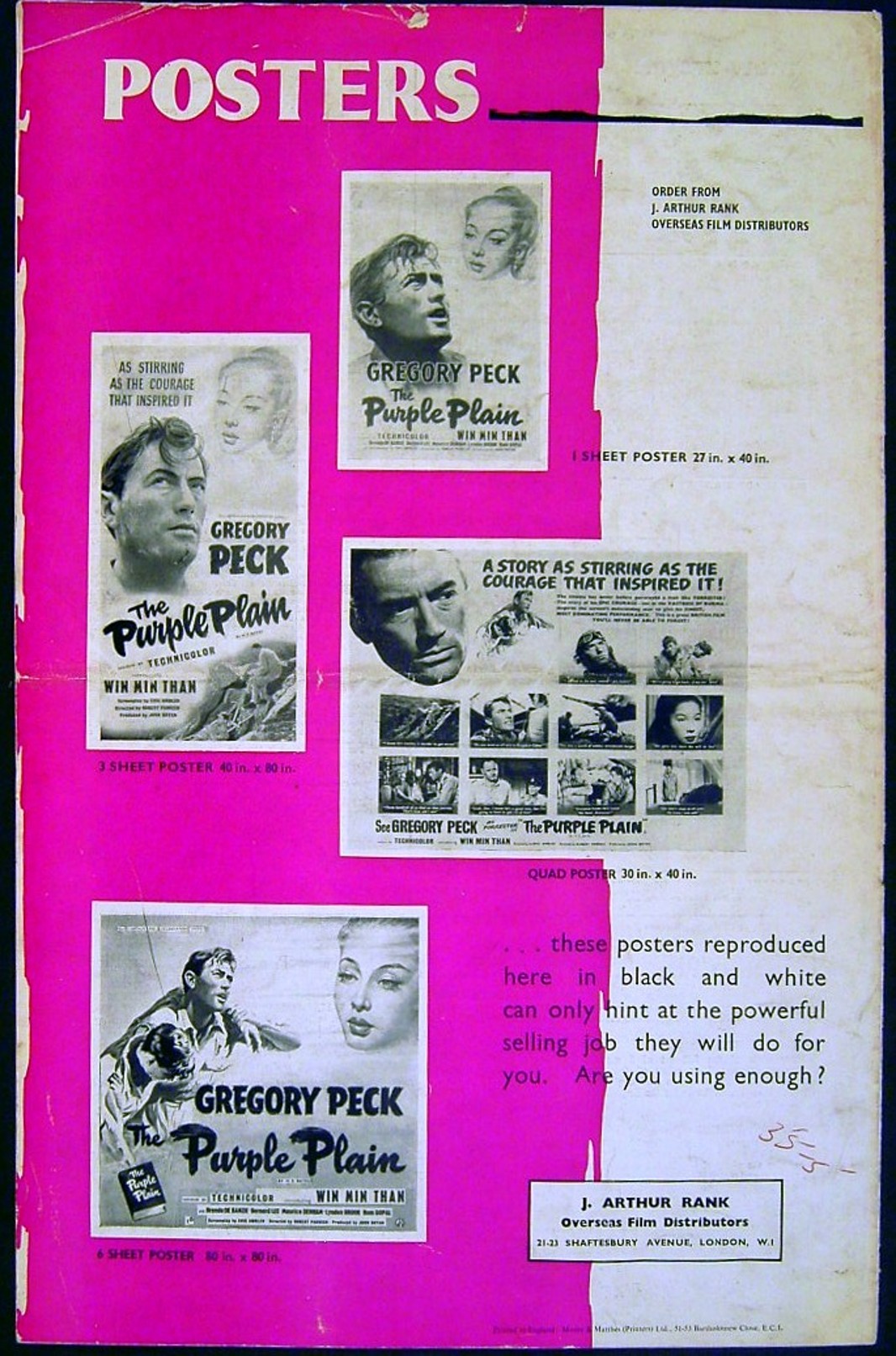 PURPLE PLAIN - Image 2