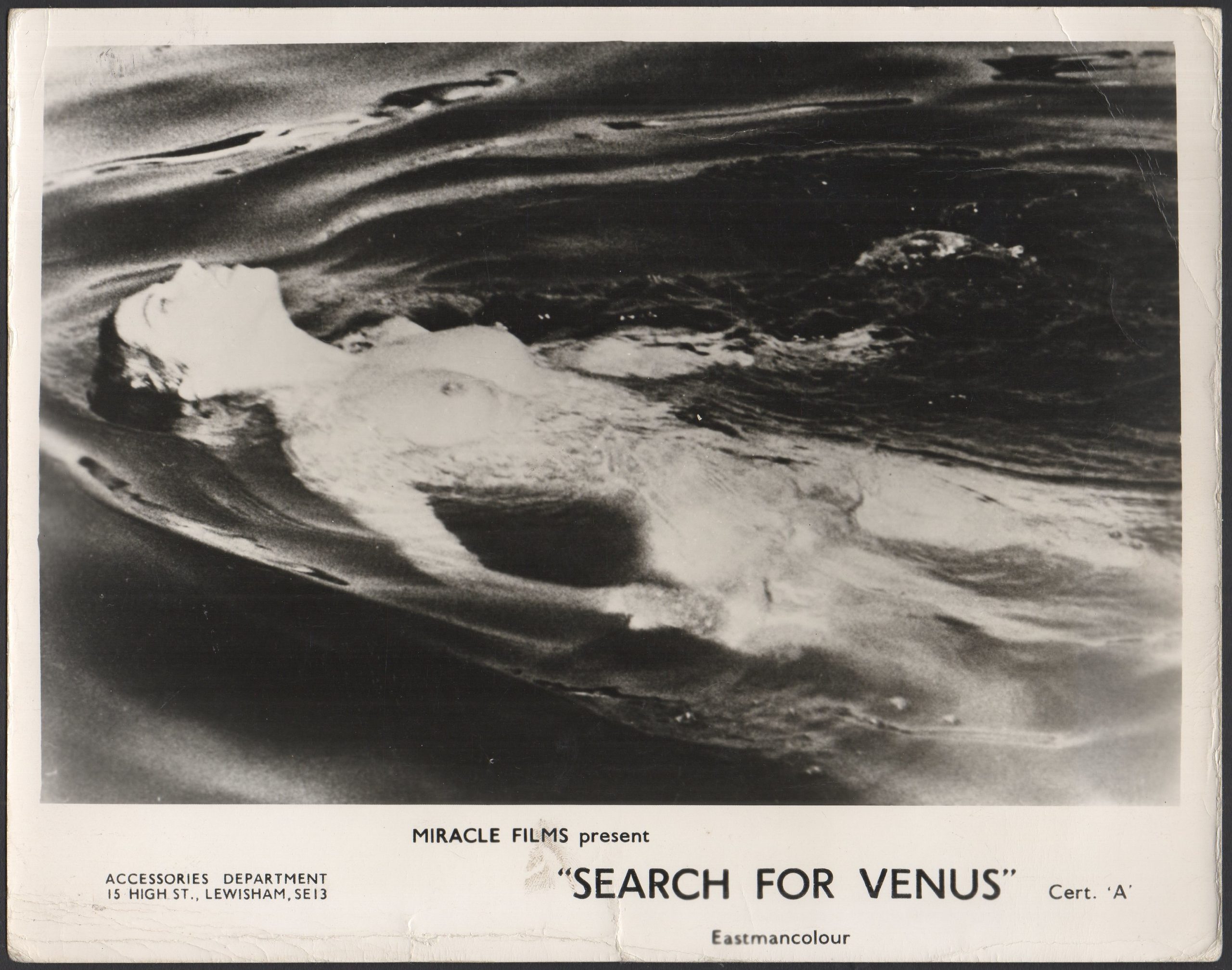 SEARCH FOR VENUS (AROUND THE WORLD WITH NOTHING ON) - Image 2
