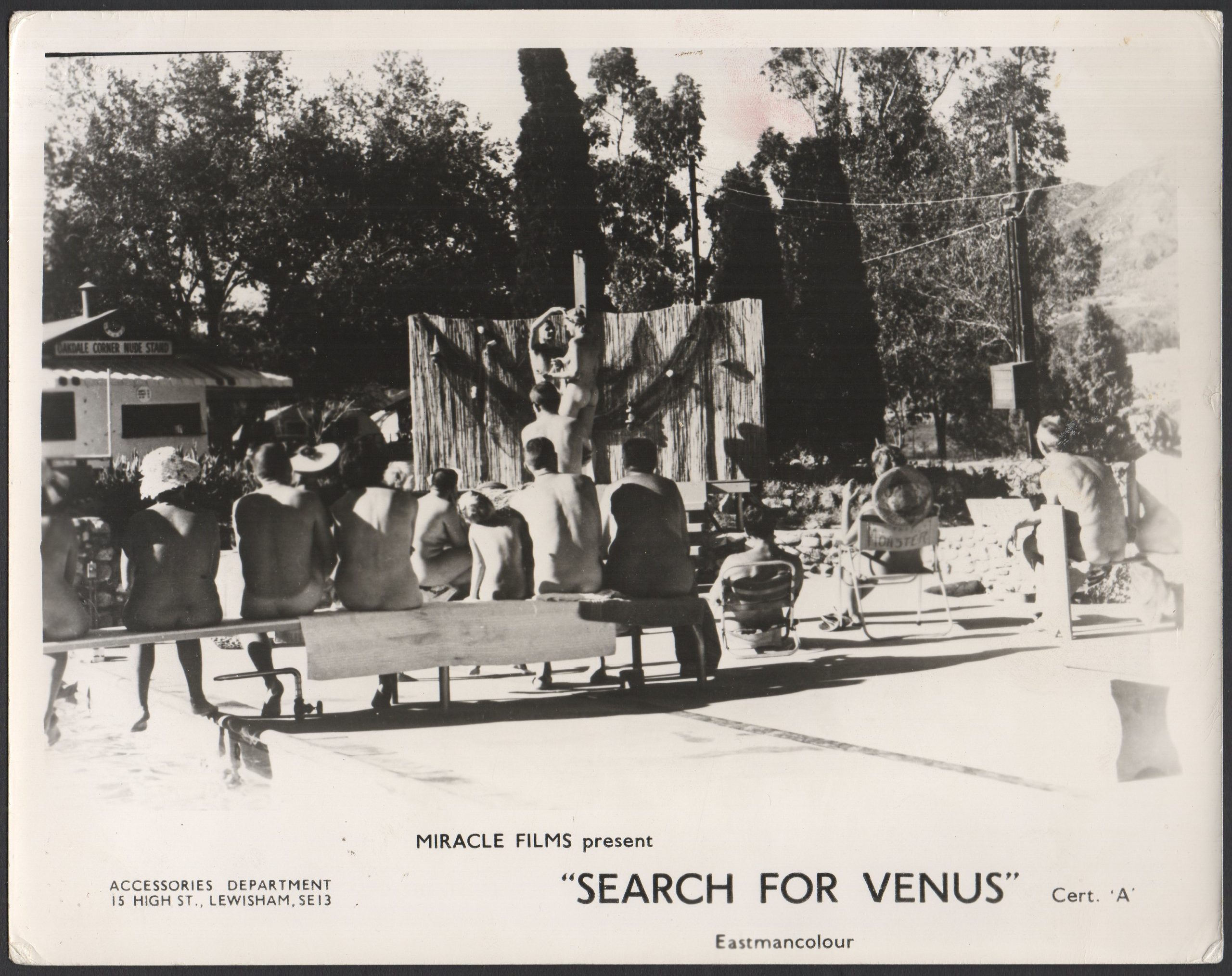 SEARCH FOR VENUS (AROUND THE WORLD WITH NOTHING ON) - Image 3