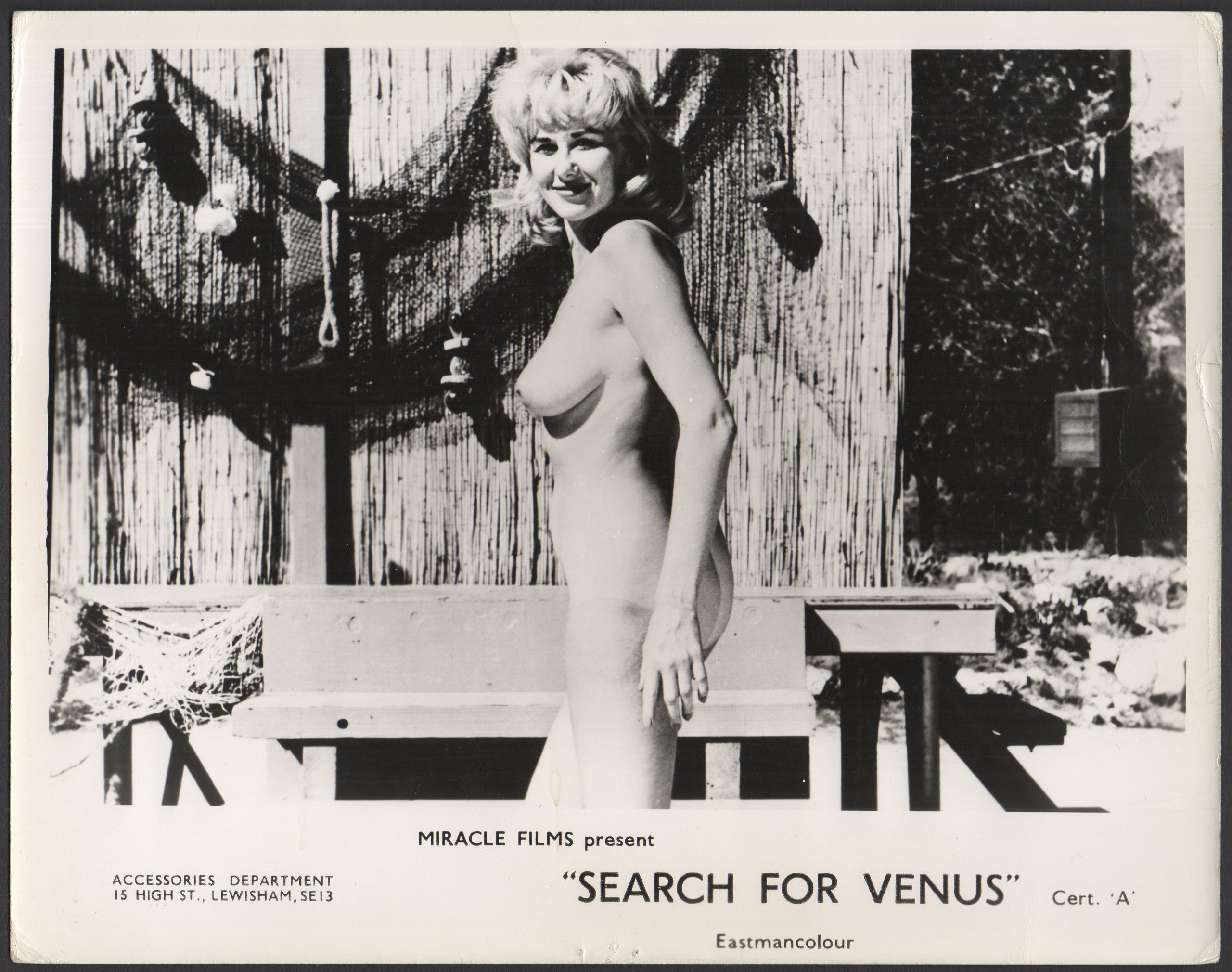 SEARCH FOR VENUS (AROUND THE WORLD WITH NOTHING ON) - Image 6